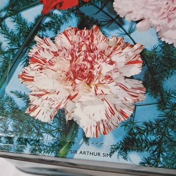 RARE Carr’s of England Floral Tin 💐 | Vintage Cookie Box | Hood-Cottagecore - Picture 9 of 12